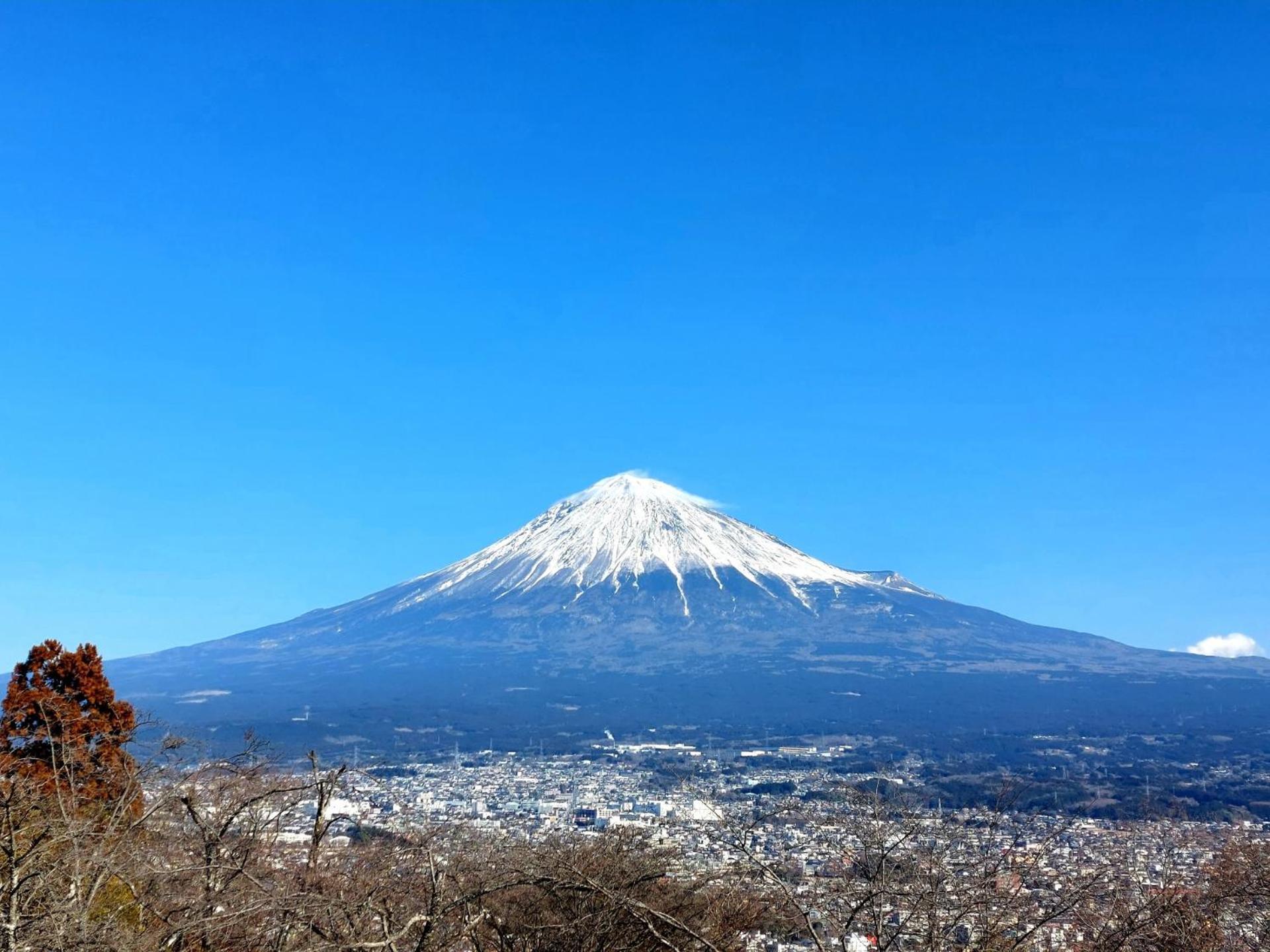 Tokiwa Hotel Кофу Экстерьер фото